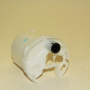 картинка Фильтр в бак  MFF-T103  JN6300/FS-1149  (23300-21010)  MASUMA  Camry 2NZ-FE,1NZ-FE,1ZZ-FE,2ZZ-GE, от интернет-магазина "АВТОИМПЕРИЯ", 4560116741403